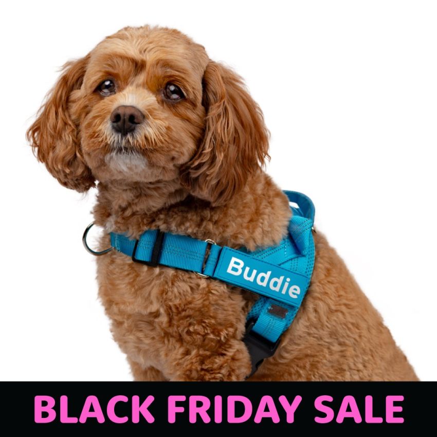 No Pull Dog Harness product preview image