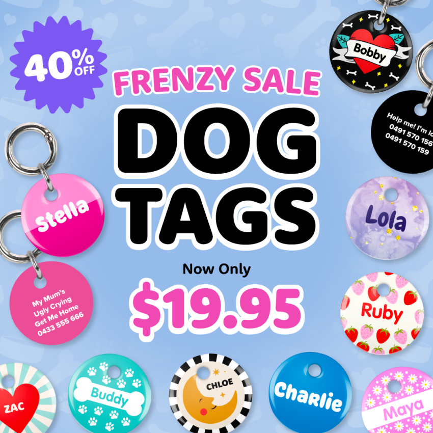 Premium Dog Tags product preview image