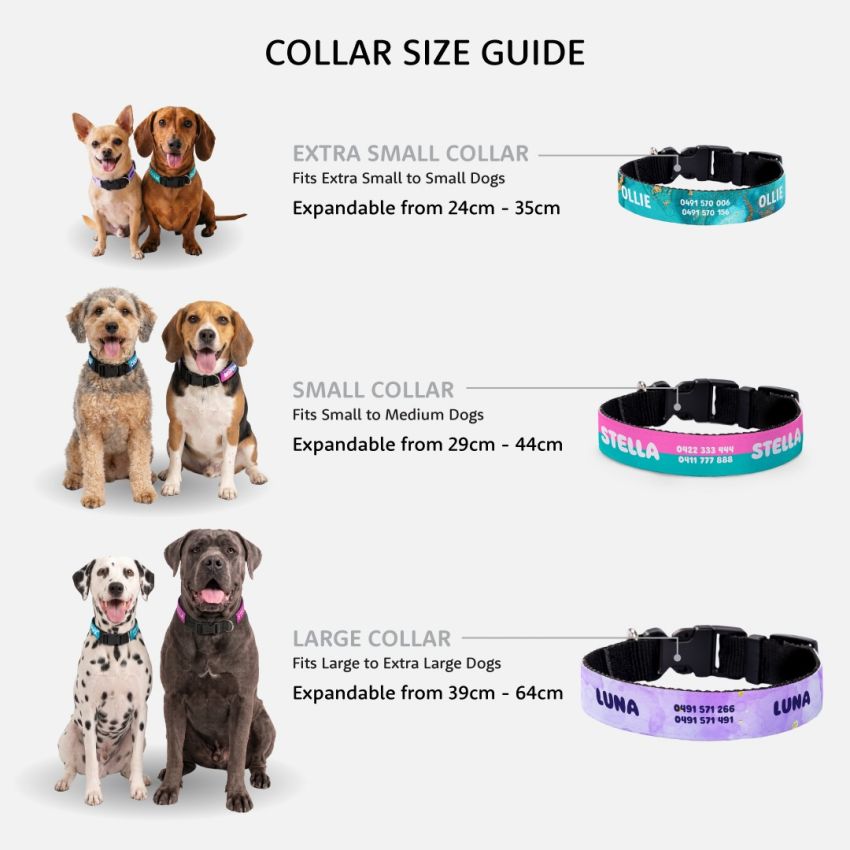 Personalised Dog Collars product preview image