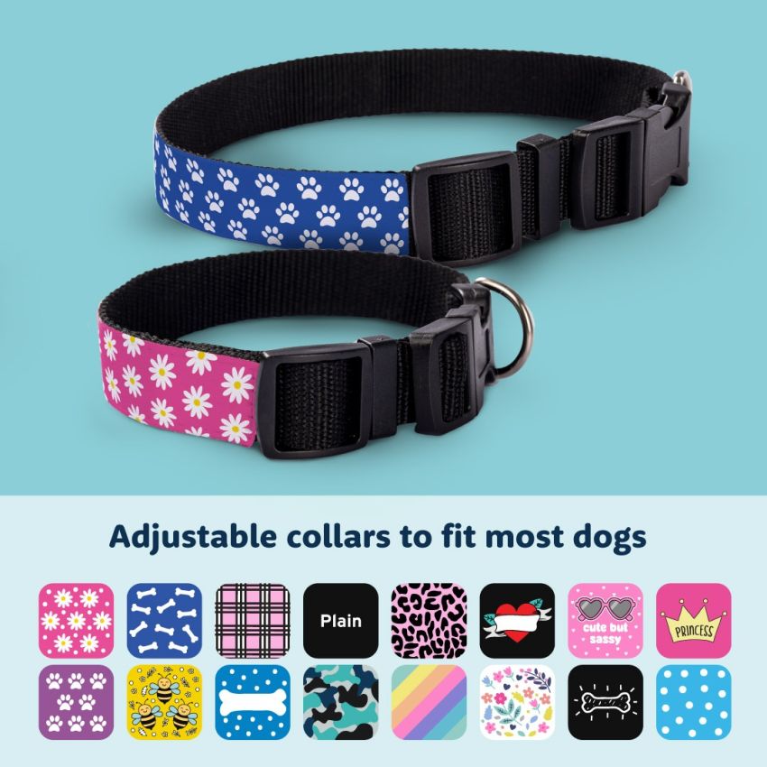 Patterned Dog Collars product preview image
