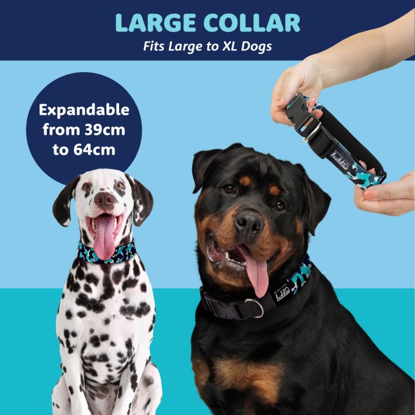 Patterned Dog Collars product preview image