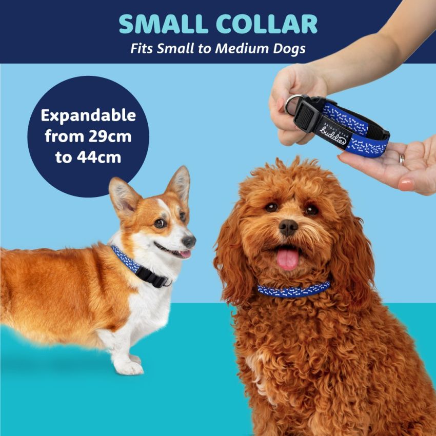 Patterned Dog Collars product preview image