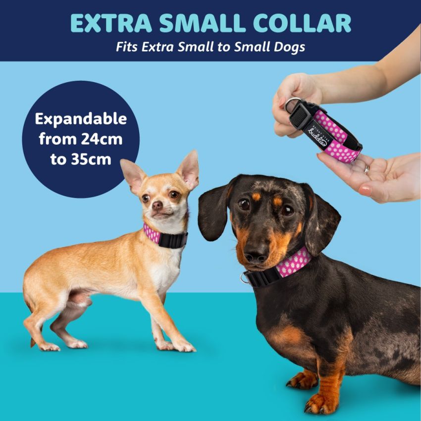 Patterned Dog Collars product preview image