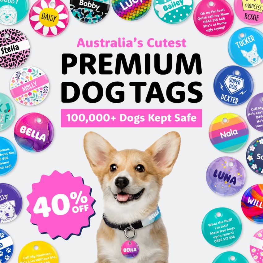 Pet Tags product preview image