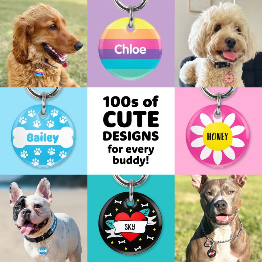 Premium Dog Tags product preview image
