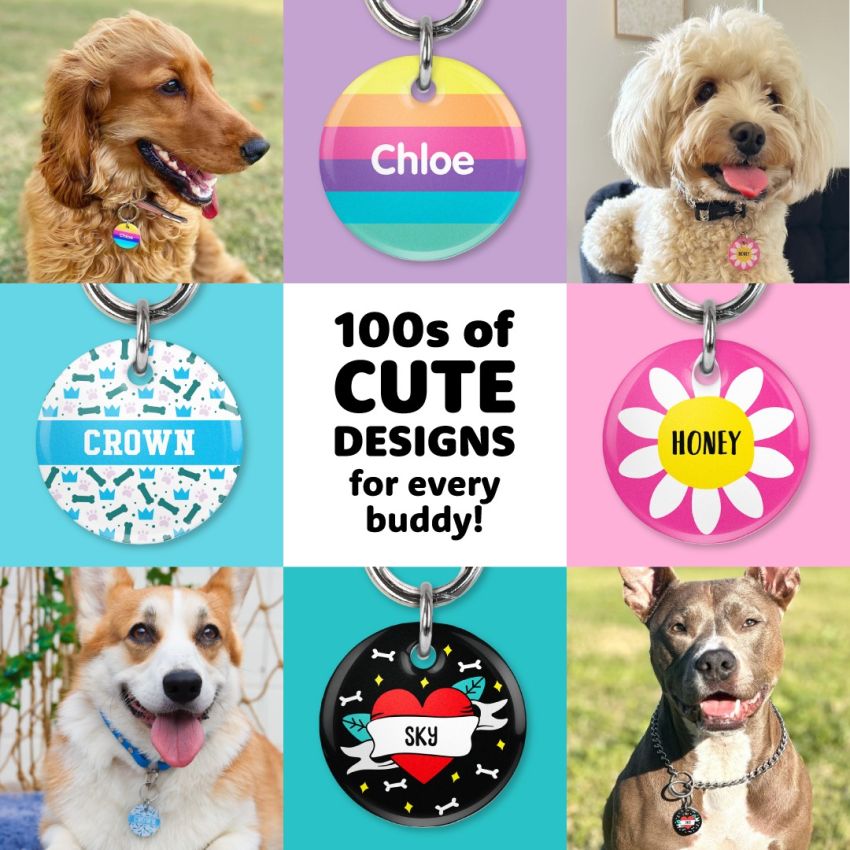 Premium Dog Tags product preview image