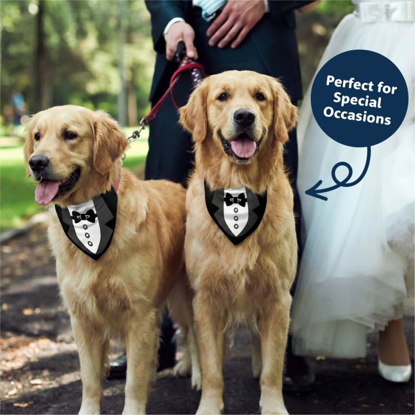 Dog Bandanas product preview image