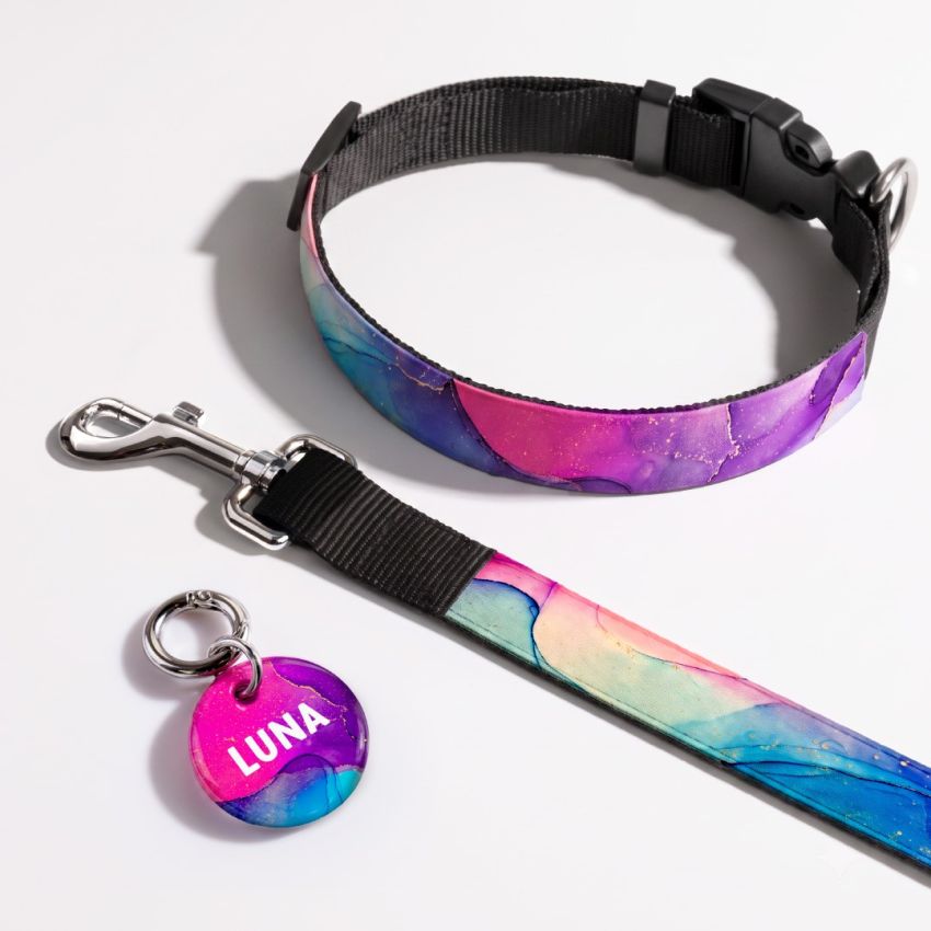 Dog Tag & Collar Combo gallery image №1