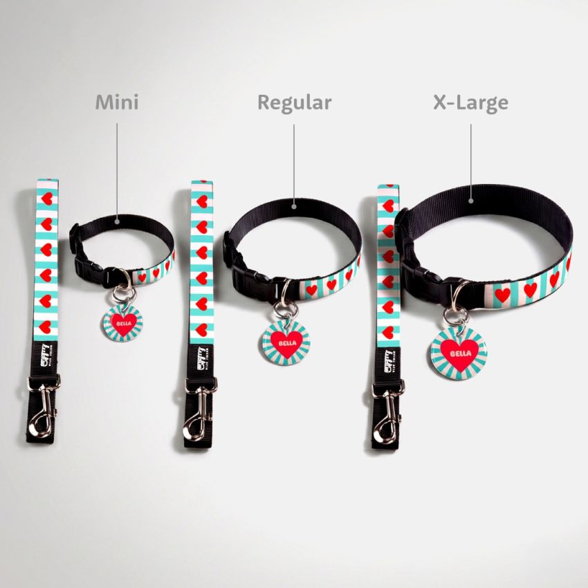 Dog Tag & Collar Combo gallery image №3