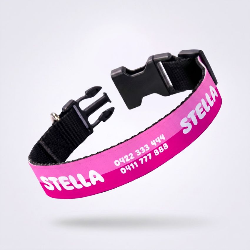 Personalised Dog Collars gallery image №1
