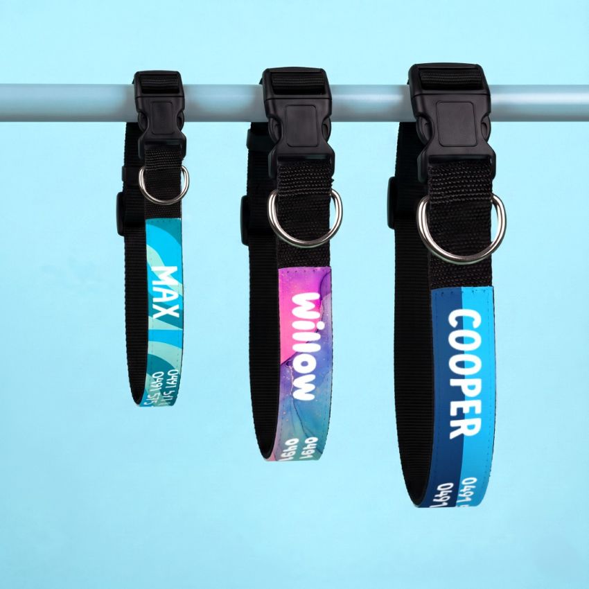 Personalised Dog Collars product preview image