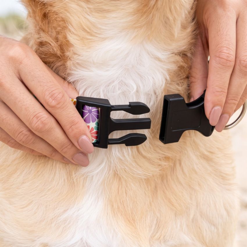 Personalised Dog Collars product preview image