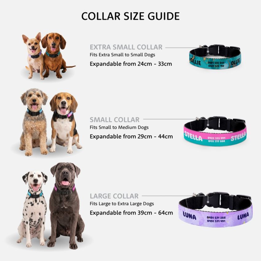 Personalised Dog Collars product preview image