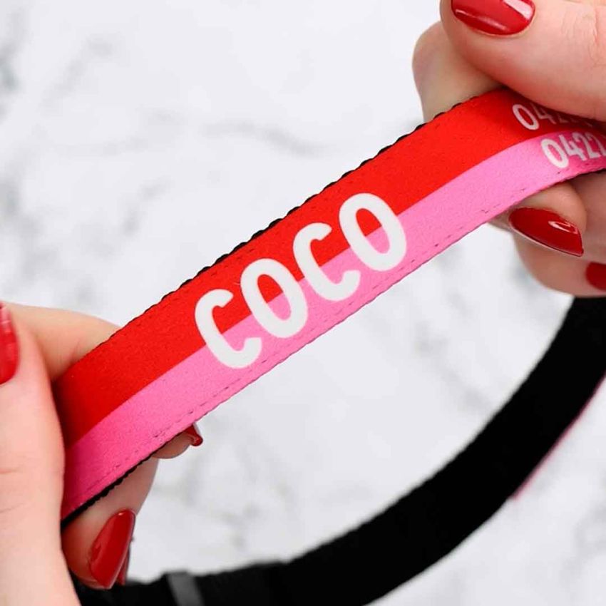 Personalised Dog Collars gallery image №3