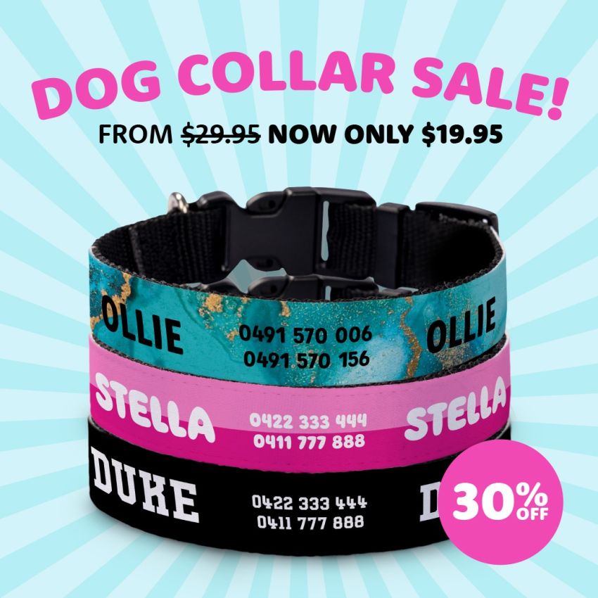 Personalised Dog Collars product preview image
