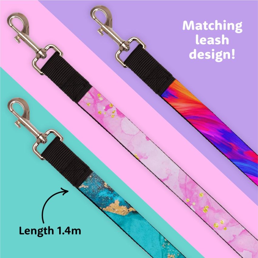 Dog Tag & Collar Set product preview image