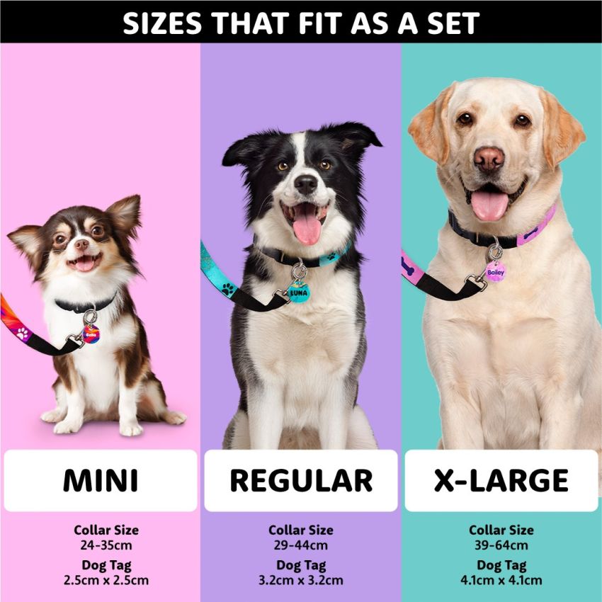 Dog Tag & Collar Set gallery image №2