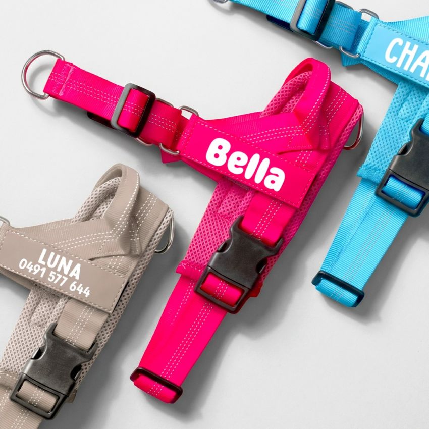 No Pull Dog Harness product preview image