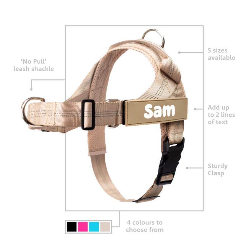 No Pull Dog Harness gallery image №2
