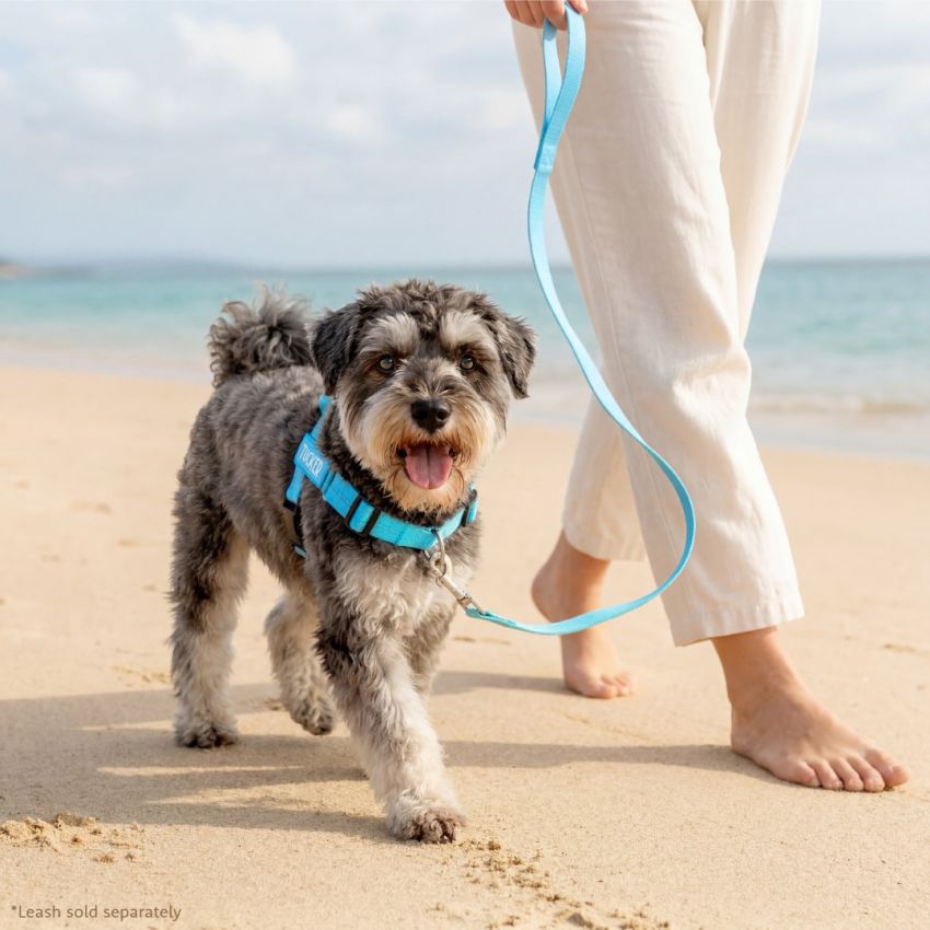 No Pull Dog Harness gallery image №4