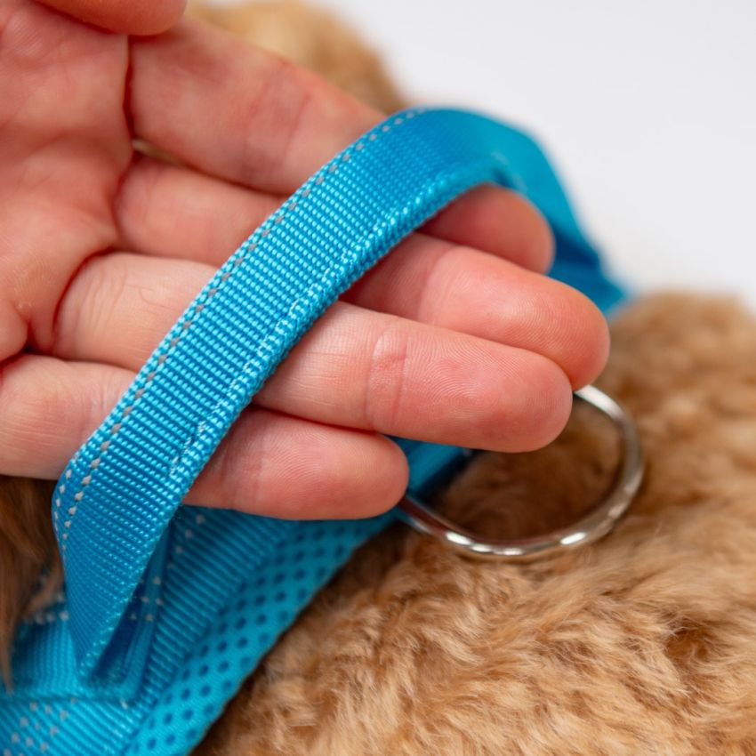 No Pull Dog Harness product preview image