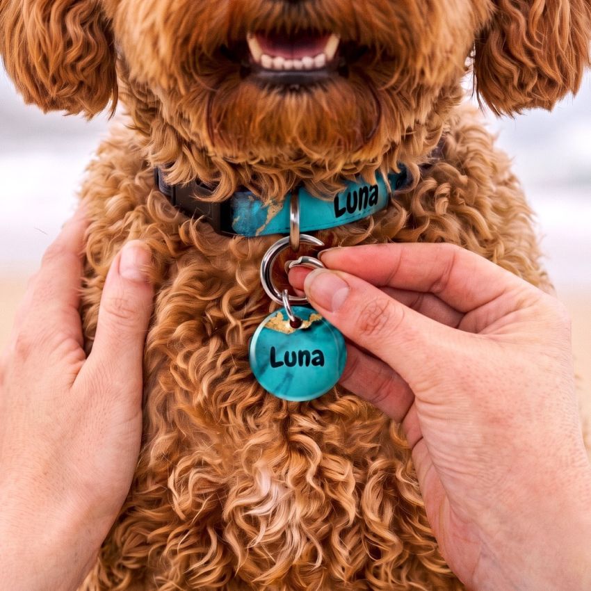Pet Tags product preview image