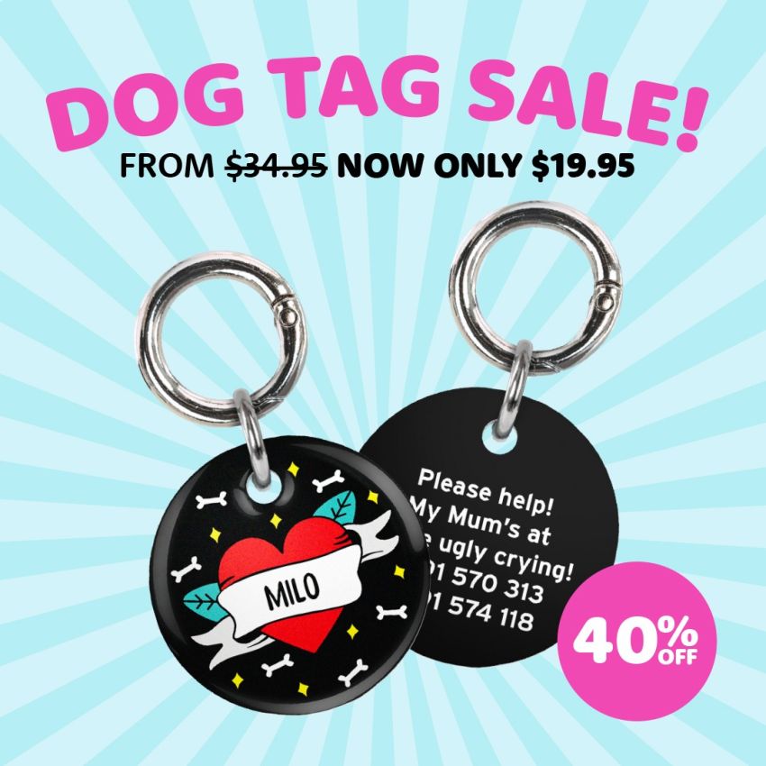 Premium Dog Tags product preview image