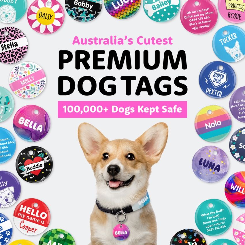 Pet Tags product preview image