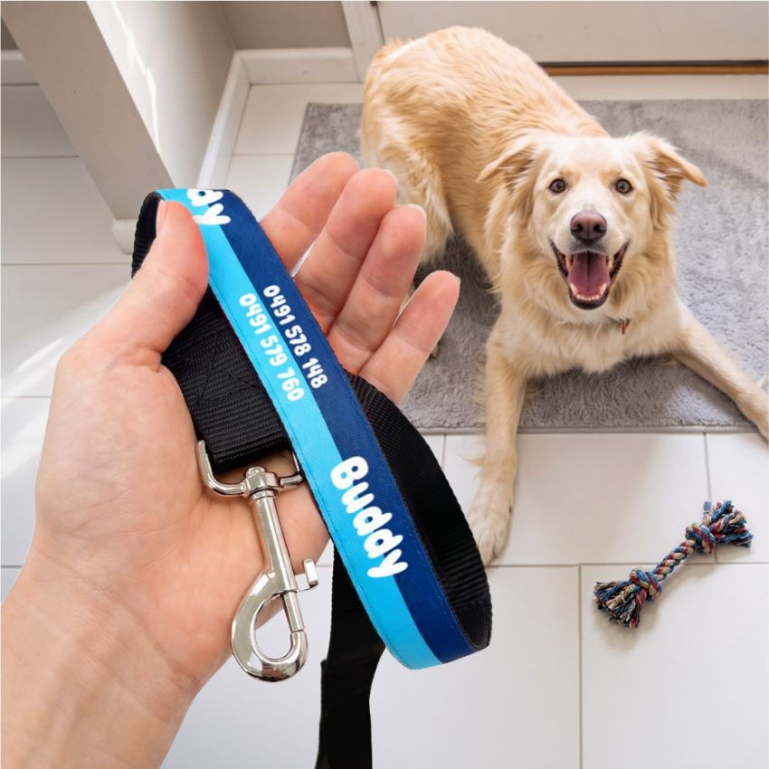 Personalised Leash gallery image №2