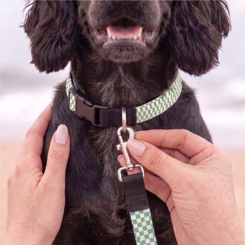 Personalised Leash product preview image