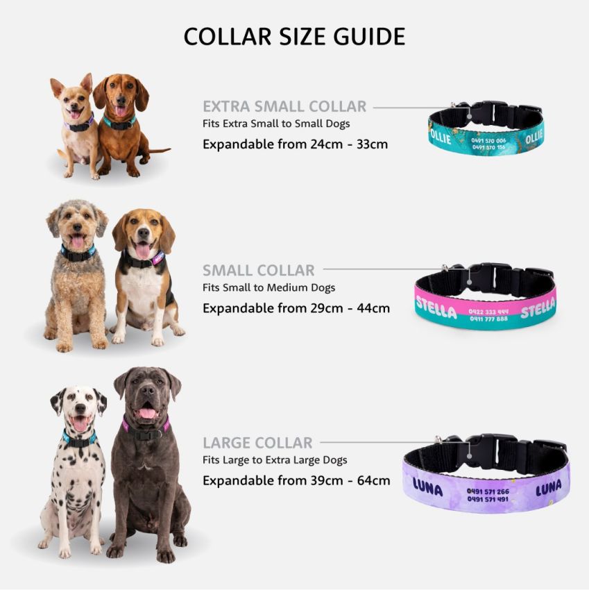 Personalised Dog Collars product preview image