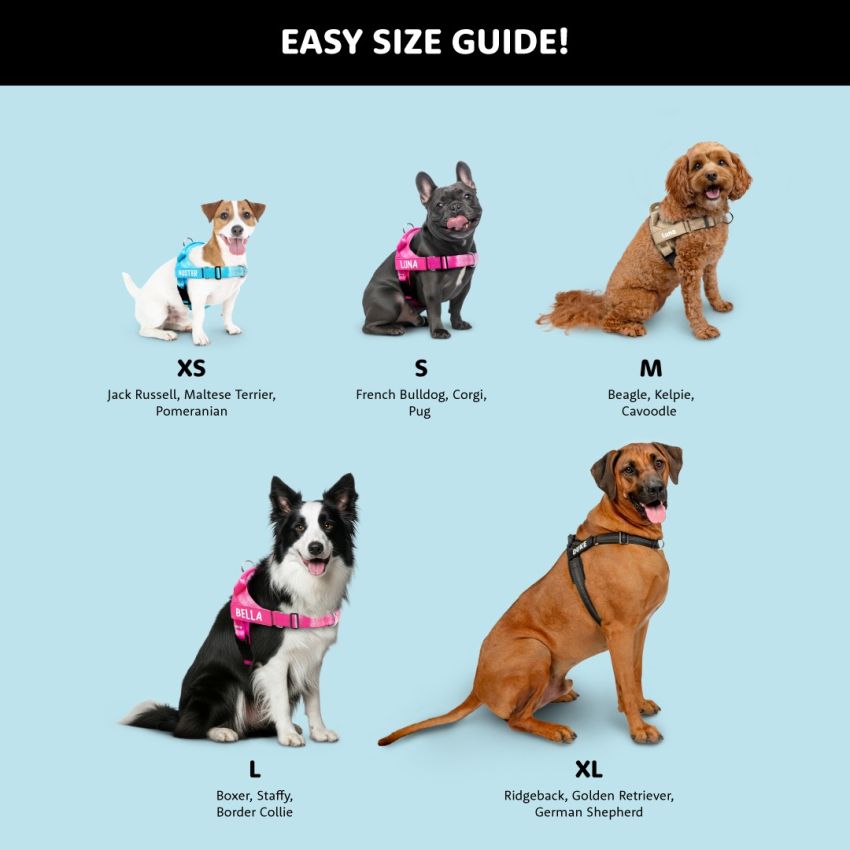 No Pull Dog Harness gallery image №4