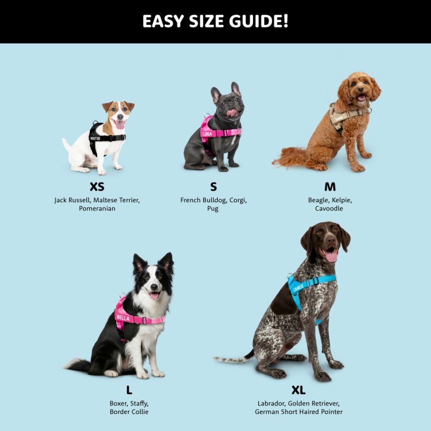 No Pull Dog Harness gallery image №2