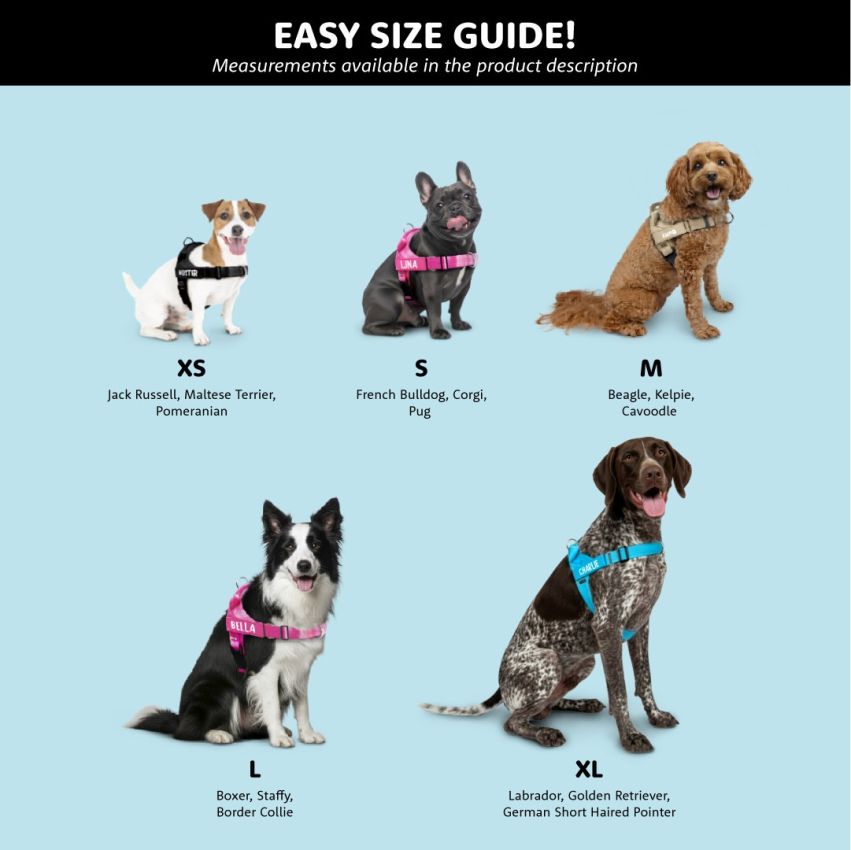 No Pull Dog Harness product preview image