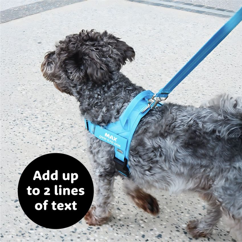 No Pull Dog Harness product preview image