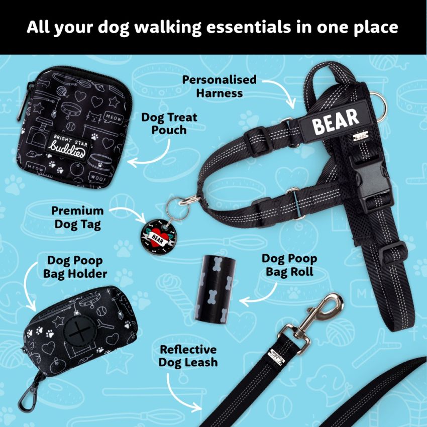 No Pull Dog Harness product preview image