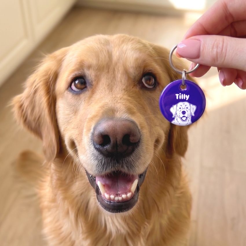 Premium Dog Portrait Tags product preview image