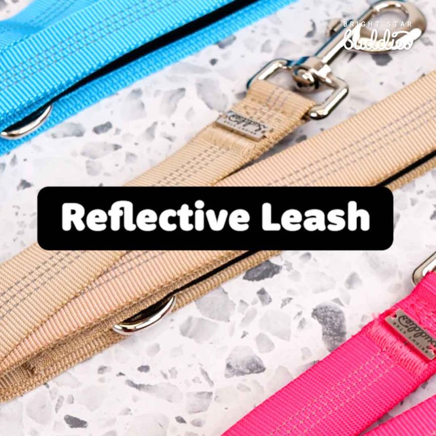 Reflective Leash gallery image №3