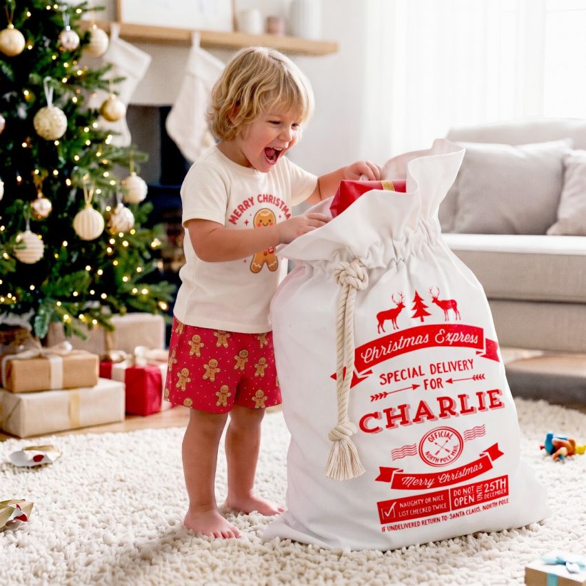 Santa Sacks product preview image