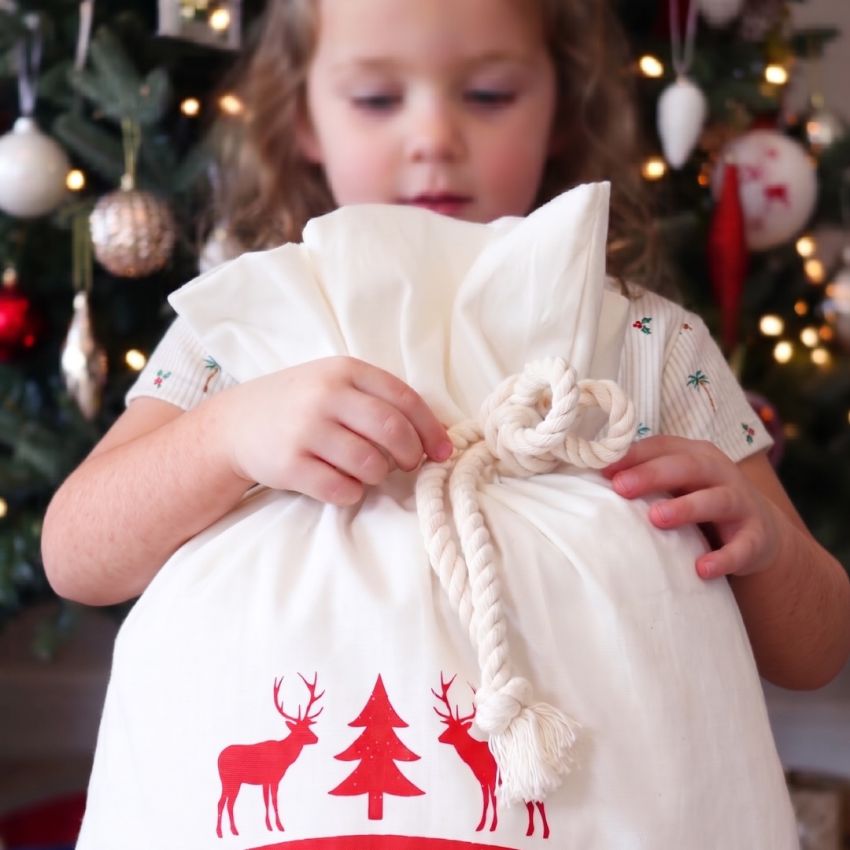 Santa Sacks product preview image