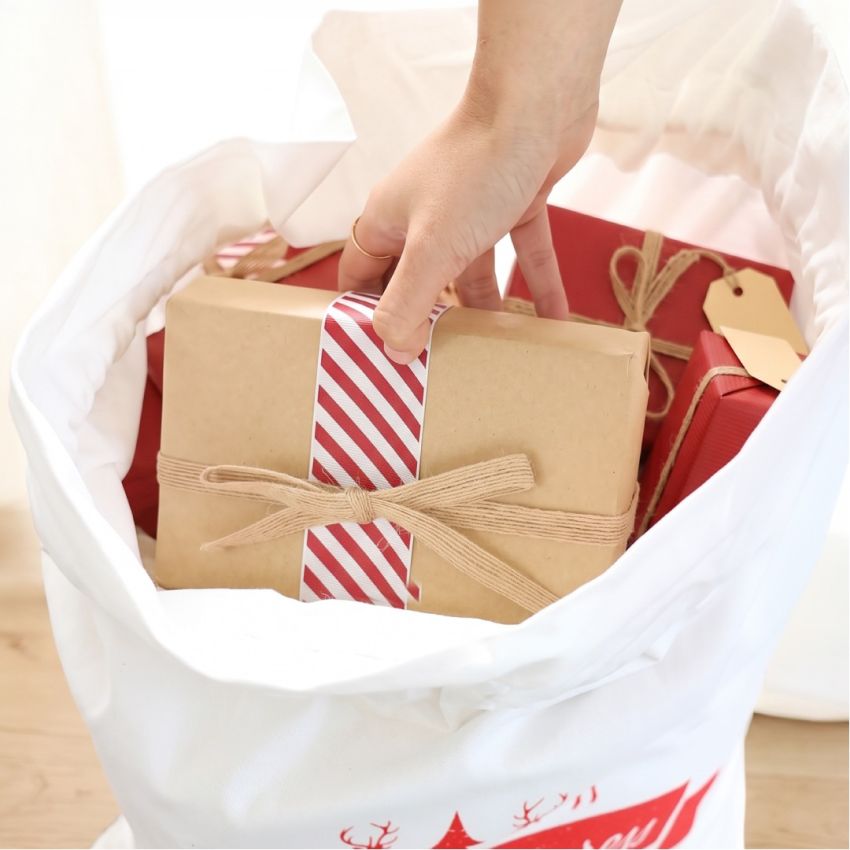 Santa Sacks product preview image