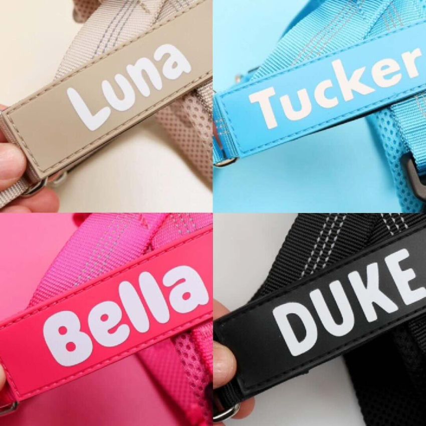 No Pull Dog Harness gallery image №3