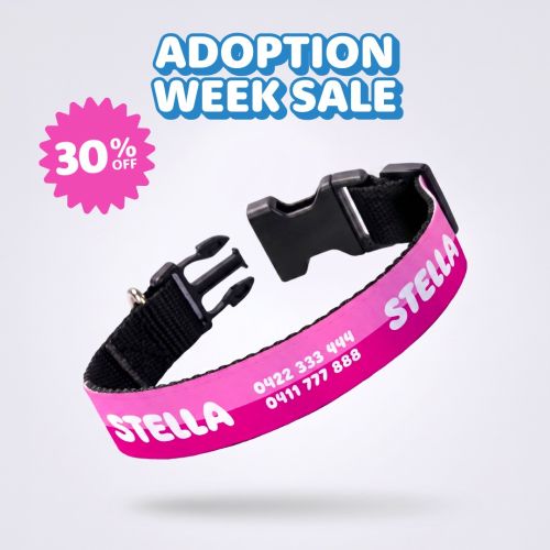Personalised Dog Collars