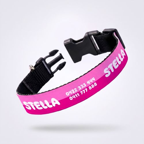 Personalised Dog Collars