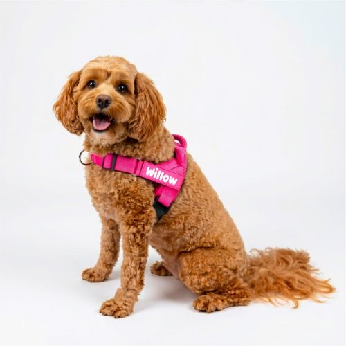 No Pull Dog Harness