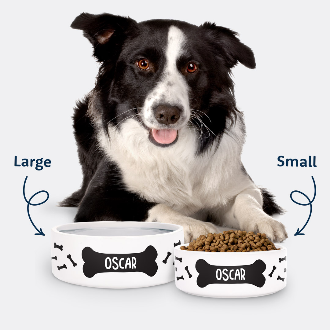 Premium Ceramic Dog Bowls