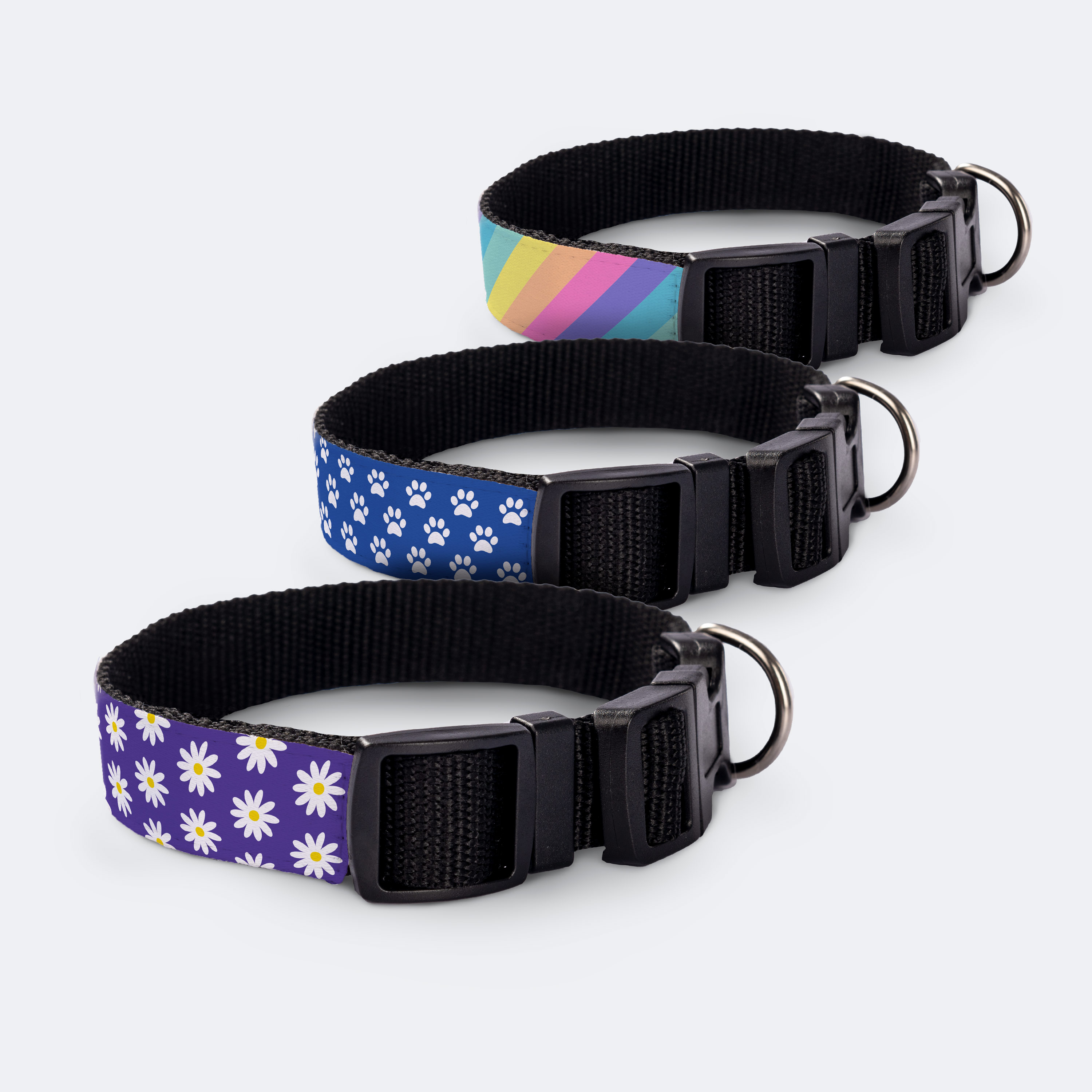 Small Personalised Dog Collars
