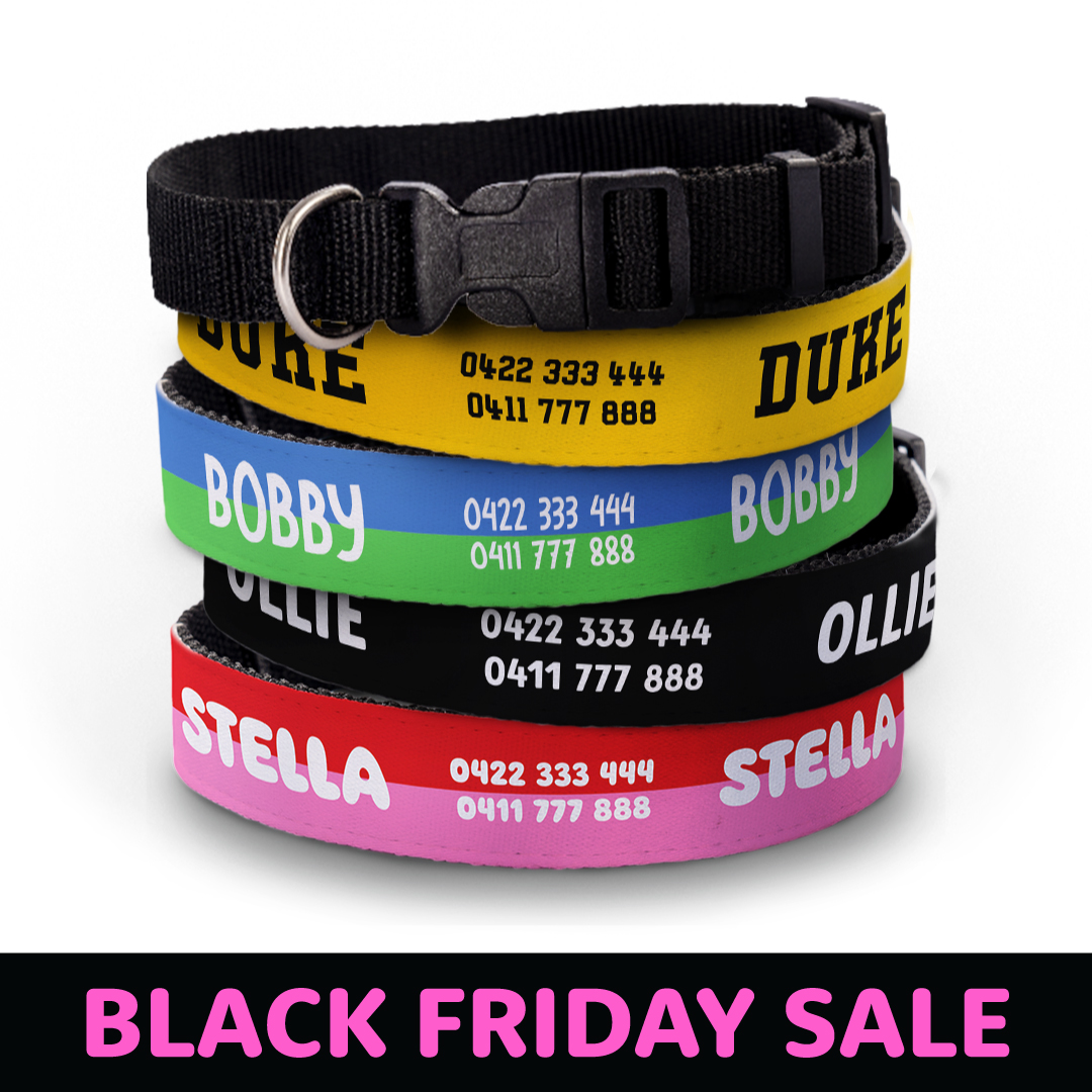 Personalised Dog Collars