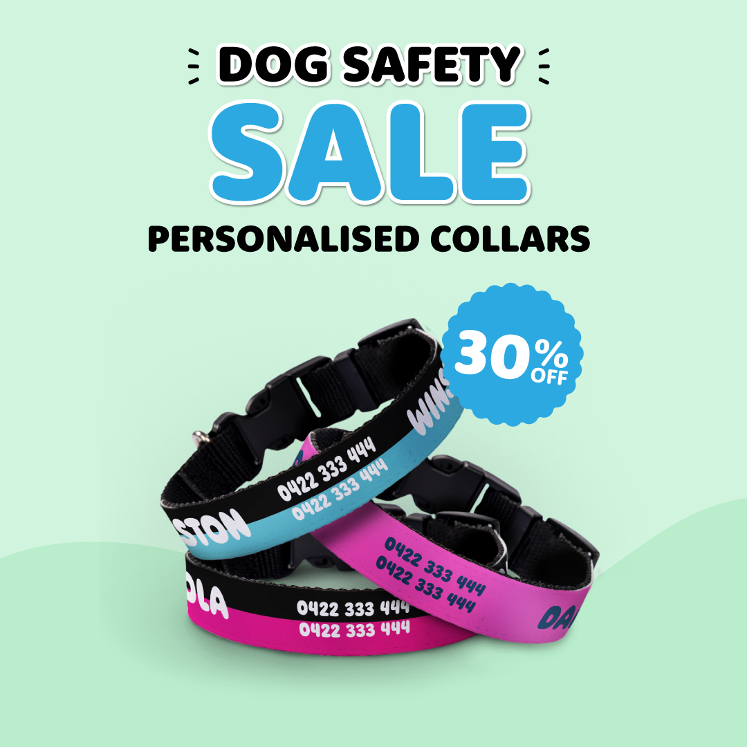 Personalised Dog Collars