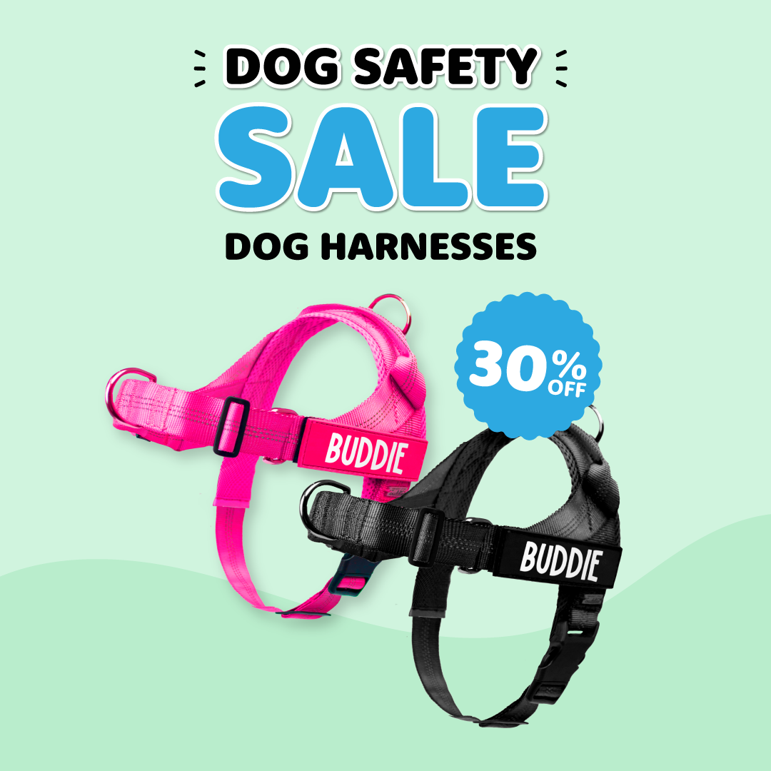No Pull Dog Harness